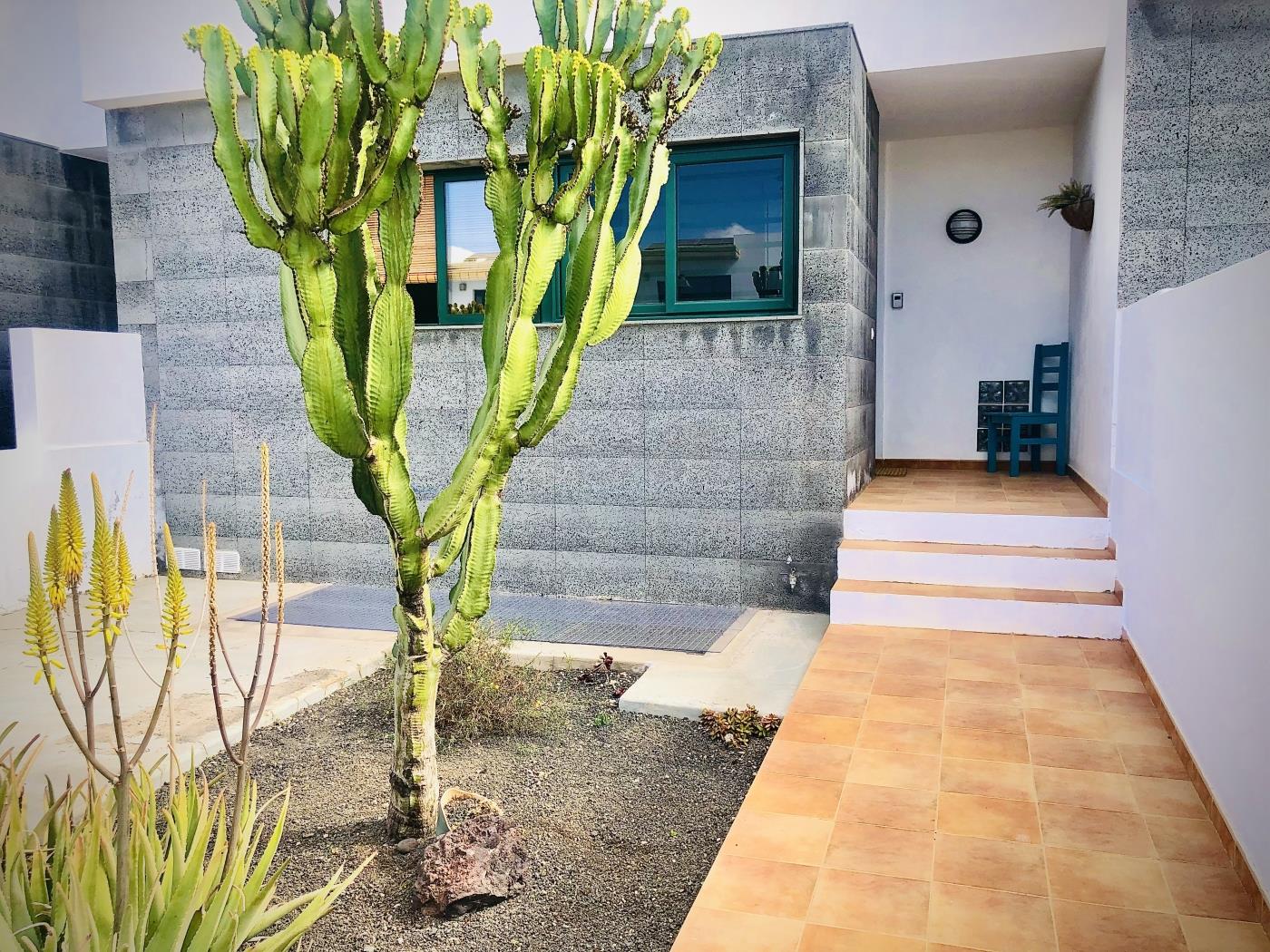 ALEGRANZA apartment with 3 rooms in Lanzarote in Teguise